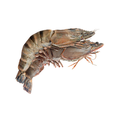 도미노피자블랙타이거슈림프