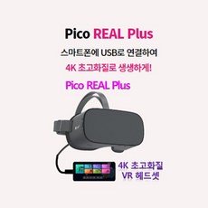 피코VR 리얼 플러스 PICO REAL PLUS 가상현실