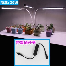 일반led조명으로식물키우기