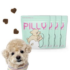 메이드인랩 강아지 피부 면역 영양제 필리 PILLY 100g, 피부/피모, 4개