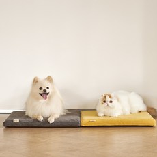 고양이쿠션-추천-상품