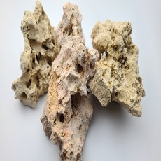 산호석