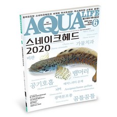 아쿠아라이프 2020년 6월호 [스네이크헤드 2020], 단품