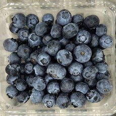 블루베리 생블루베리 생과 칠레산 125g X 4팩(500g), 4개