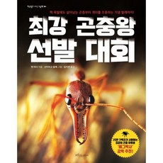 최강 곤충왕 선발 대회