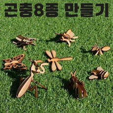 3d곤충만들기