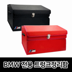 보네이도ev100