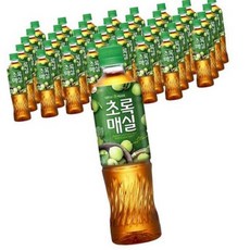 초록 매실 펫 500ML 20개 음료수, 1개