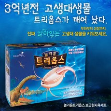 긴꼬리투구새우 키우기-보급형 소(트리옵스 공룡 살아있는화석생물키우기 교육실습용 갑각류 새우 씨몽키), 단일속성, 1개