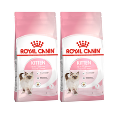 4개월 5개월 1세 미만 아기 고양이 키튼 사료 2kg x 2개