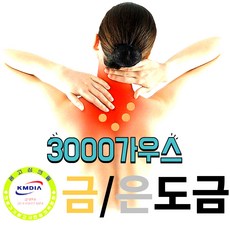 금/은도금 자석파스 오행자금94종 3000가우스 금도금10개+은도금10개+대형파스24장+소형패드50장, 1set