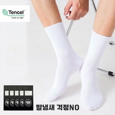 아이언 발냄새 무좀 기능성 텐셀 양말 - 골프의류