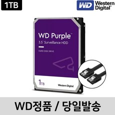 [WD정품] WD퍼플 1TB CCTV DVR 하드디스크 WD11PURZ 오늘출발, 1개, WD퍼플 1테라 [WD11PURZ] - 10테라하드