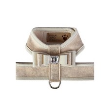 수잔랜시하네스
