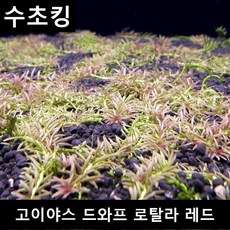 9596f3159c251a6ade77fd5945f0623fab80b17427f17469661d339addc0.jpg
