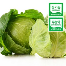 [특가할인] 국내산 산지직송 유기농 샐러드 양배추, 1박스