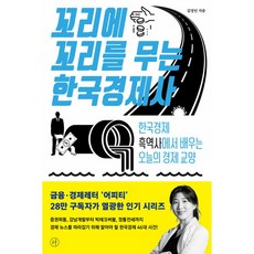 꼬리에 꼬리를 무는 한국경제사