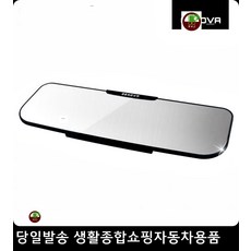 올뉴카니발미러링