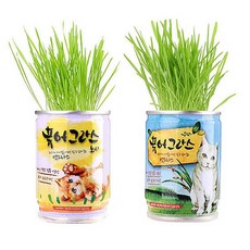 퓨어그라스귀리