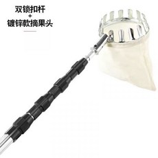 감나무장대
