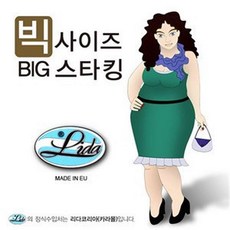 빅마담 빅마담 빅사이즈 스타킹 EU 수입제품 20D (1941990)