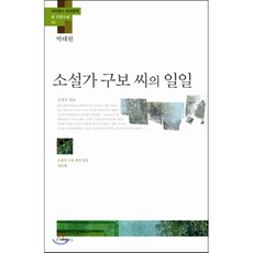 소설가구보씨의일일