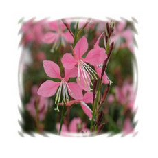 30fff1c46e1678f7fb1d57c75fefa80b3f4404b82bfc4623826fcaa28967.png