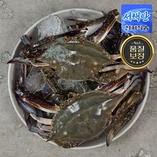 [당일조업] 서해안 제철 활 꽃게 암꽃게 숫꽃게 햇꽃게 생물 냉동, 꽃게 2kg, 1개