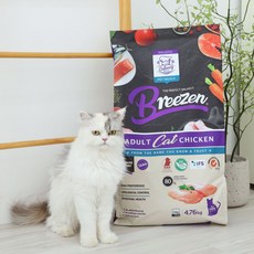 브리젠 어덜트 캣 스페인 고양이사료 치킨
