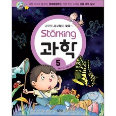 초등생스타킹