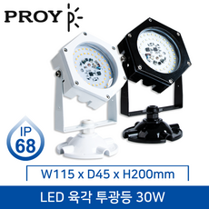 대도 LED 육각투광등 (IP68/방수형) 30W 실외등/블랙/화이트/전구색/주광색, 선택1) 화이트 30W 전구색