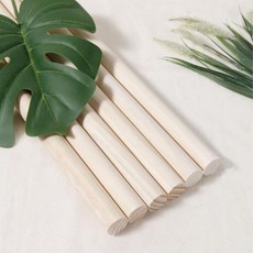 윤앤수자세교정