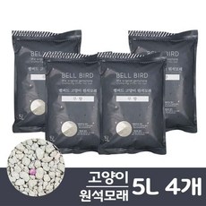 고양이원석