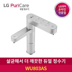 LG 퓨리케어 듀얼 정수기 WU803AS 냉정수, 6개월 주기 방문관리