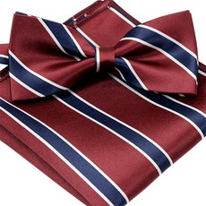 줄무늬나비넥타이