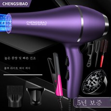 다이슨스트레이트너블루