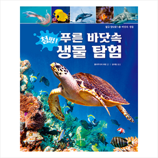 첨벙 푸른 바닷속 생물 탐험 +미니수첩제공, 다섯수레
