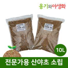 옹기와야생화 전문가용 산야초 소립 10L 가루제거 깨끗한 명품, 1개