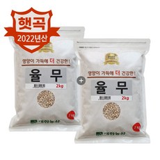 대한농산 2022년 햇곡 국산 율무 4kg (2kgx2봉) 햇율무 통율무, 1세트