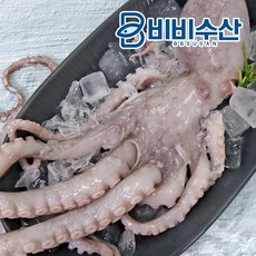 비비마켓코르셋