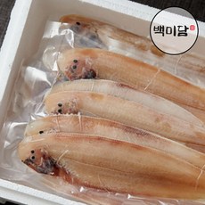 박대 서대 반건조생선 특대 35-40cm, 1세트, 4미