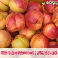 3475fd673f618ce8005ce3a01de01d6f07259b117dd796913b2f5ead8069.JPG