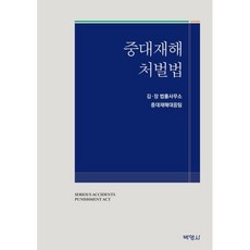 중대재해처벌법, 김·장 법률사무소 중대재해대응팀 저, 박영사