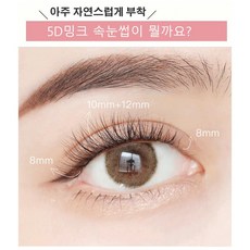 artc속눈썹