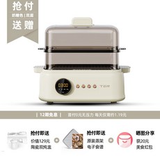 디온리전기찜기