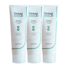 참존 징코 내츄럴 징코 클렌징 폼, 3개, 180ml
