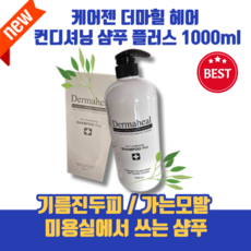 [본사정품] 미용실샴푸 가는모발 저자극 약산성샴푸 <dermaheal> 온가족이 사용하는 더마힐샴푸 출산후샴푸 민감성두피 기름진두피 더마힐 hair 샴푸 플러스 대용량, 1개, 1000ml