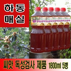 황매실청대체당