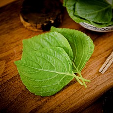 국내산 밀양 깻잎1kg 산지직송, 1kg