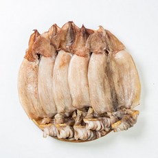 [청정바다] 원양산 반건조 오징어 250g 내외 피데기, 250g(5미), 1개